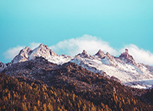 炸金花游戏-华体会入口：点亮你的体育世界